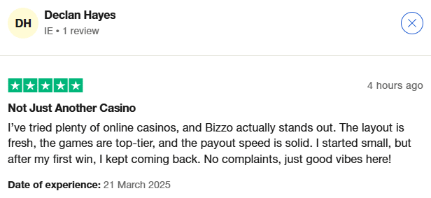 bizzo review