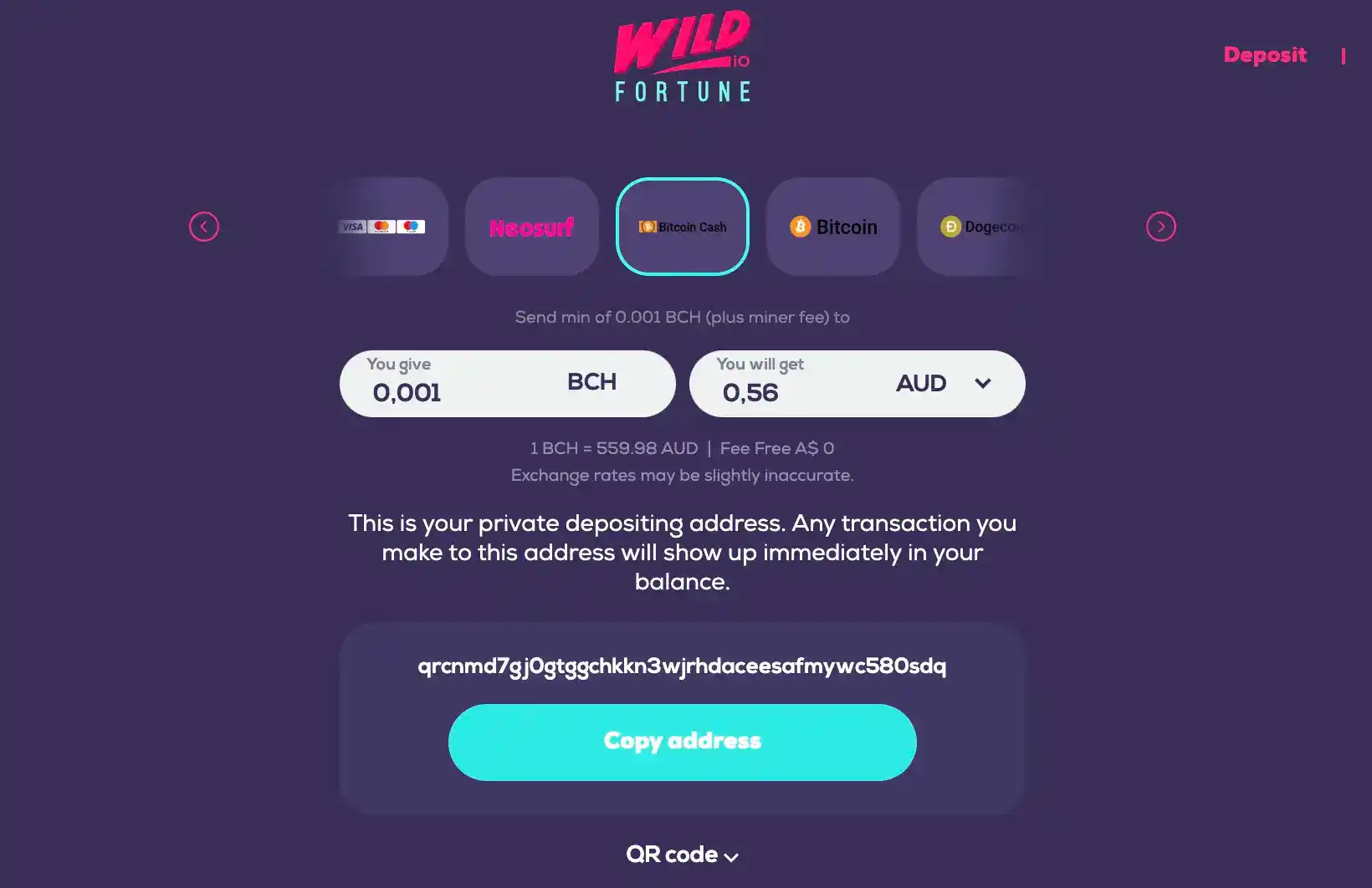 wild fortune deposit methods